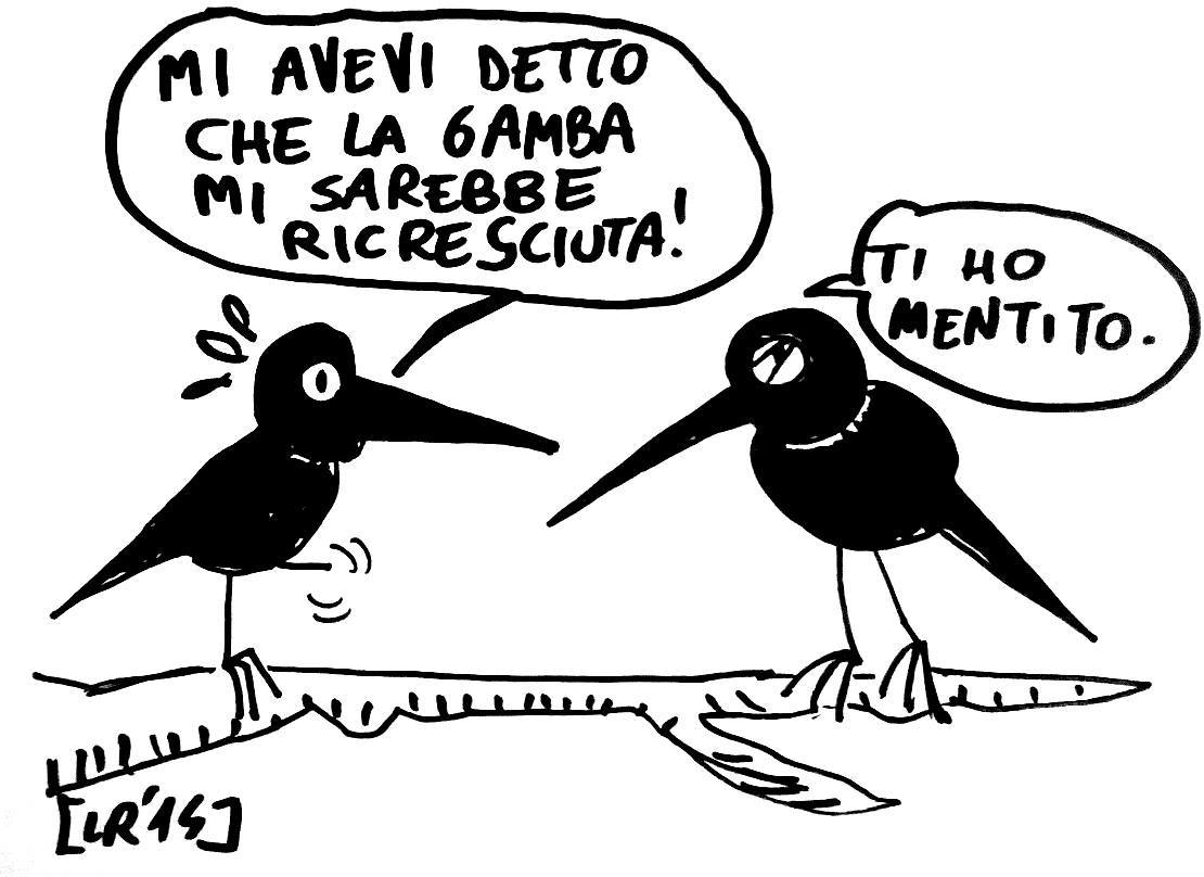 fumetto Operamolla